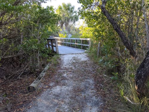 A sandy path leads to a wooden bridge surrounded by lush greenery and trees.