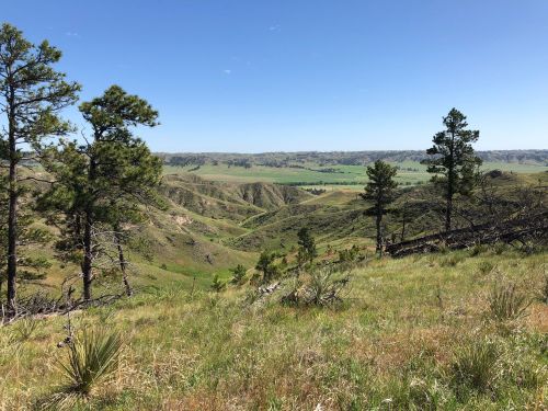 A scenic view of rolling hills and valleys, dotted with trees under a clear blue sky.