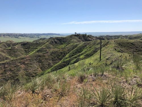A scenic view of rolling green hills under a clear blue sky, with a winding path and distant landscape.