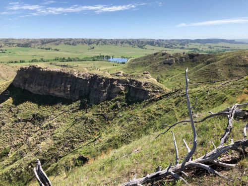 A scenic view of rolling green hills and a distant pond, with rocky cliffs and dry tree branches in the foreground.