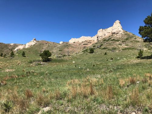 A grassy landscape with rocky cliffs under a clear blue sky, featuring sparse trees and shrubs.