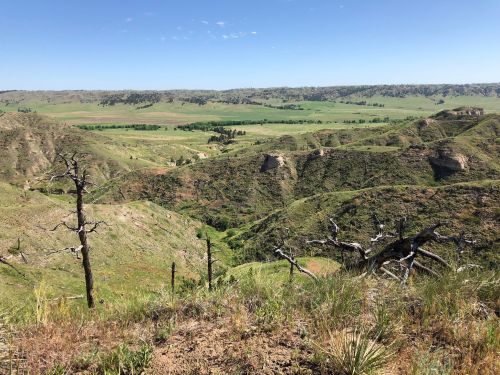 A panoramic view of rolling green hills and valleys under a clear blue sky, with sparse trees and dry vegetation in the foreground.