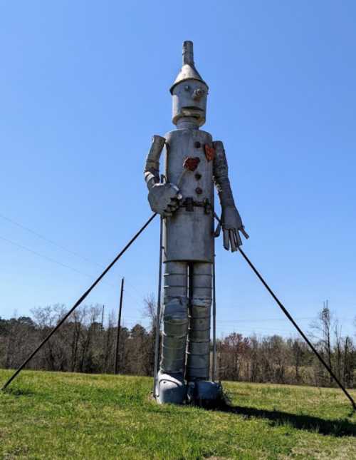 A large metal statue of a tin man stands on a grassy field under a clear blue sky.