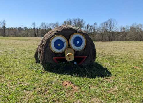 A large hay bale decorated with eyes and a mouth, resembling a cartoonish face, in a grassy field under a clear sky.