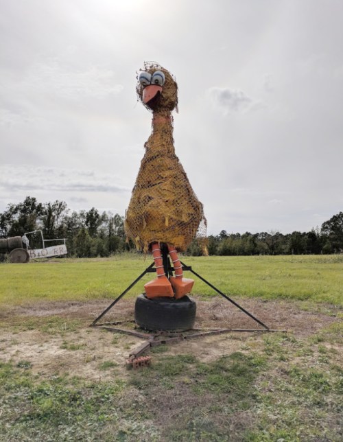 A large scarecrow resembling a bird, made of straw and wearing orange shoes, stands on a tire in a grassy field.