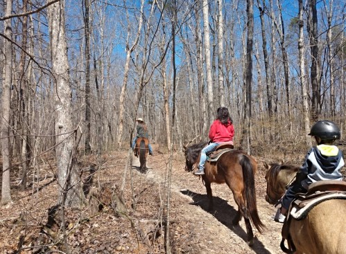 Two children on horseback follow an adult rider through a wooded trail on a sunny day.