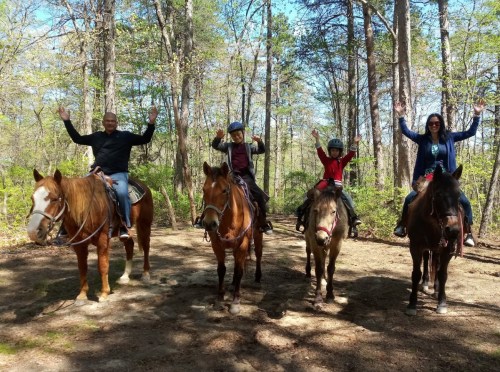 A group of four people on horseback, smiling and raising their hands, surrounded by trees in a sunny forest.