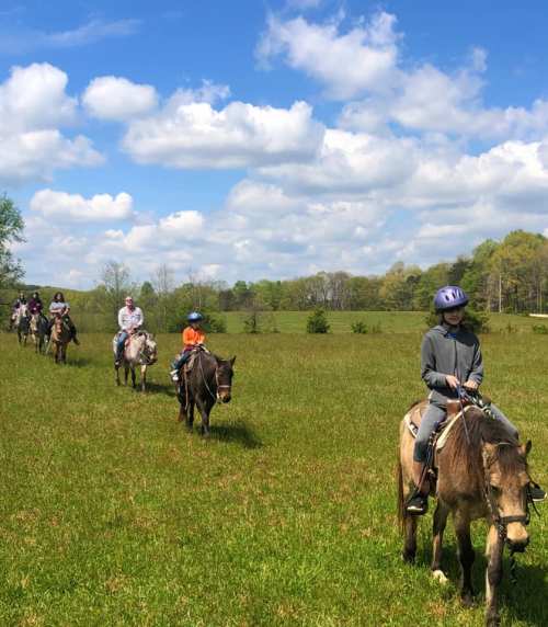 A group of people riding horses along a grassy path under a blue sky with fluffy clouds.
