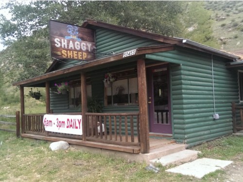 A green log cabin with a sign reading "The Shaggy Sheep," open daily from 9 AM to 3 PM.
