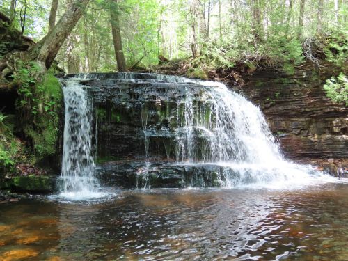 A serene waterfall cascading over rocks into a calm pool, surrounded by lush green trees and foliage.