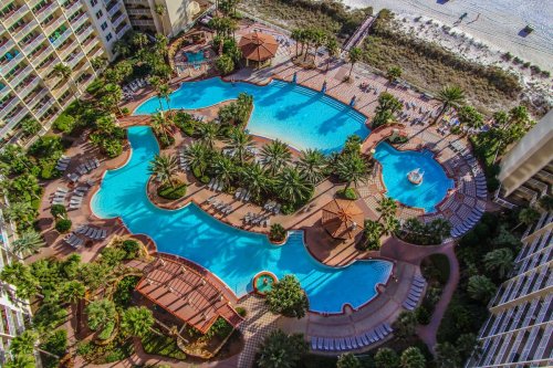 Aerial view of a resort pool area surrounded by palm trees, with lounge chairs and pathways leading to the beach.