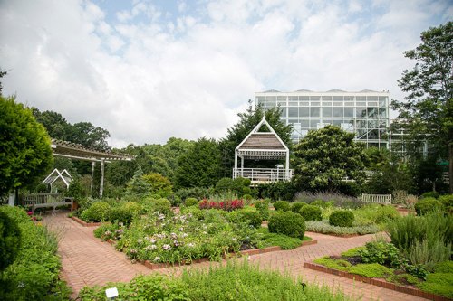 A lush garden with various plants, pathways, and a greenhouse in the background under a cloudy sky.