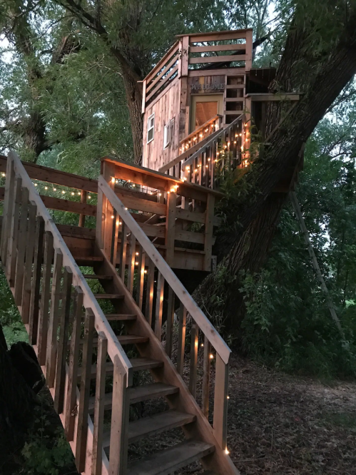 A wooden treehouse with a staircase wrapped in string lights, nestled among lush green trees.