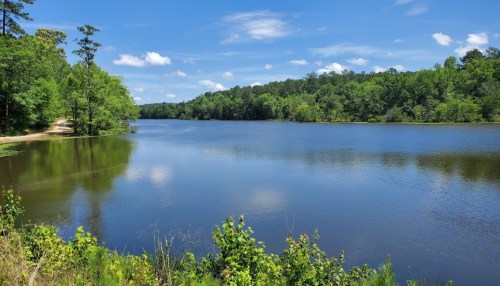 A serene lake surrounded by lush green trees under a clear blue sky with fluffy white clouds.
