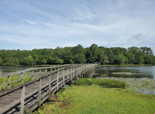 A wooden boardwalk extends over a calm lake, surrounded by lush greenery and lily pads under a cloudy sky.