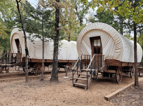 Two covered wagons with wooden wheels, set among trees in a rustic outdoor area.