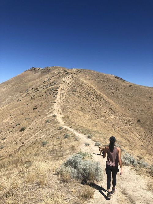 A person walks a dirt path on a dry, hilly landscape under a clear blue sky, holding a small dog.