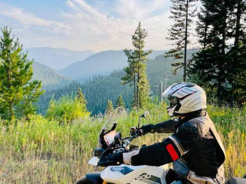 A motorcyclist in gear sits on a bike, overlooking a misty mountain landscape with tall trees.