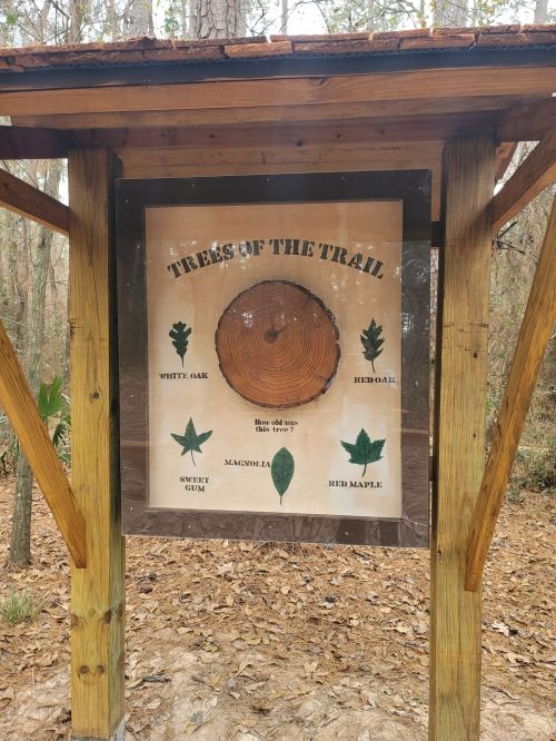 Signboard displaying tree species with images of leaves and a cross-section of a tree trunk, set in a wooded area.