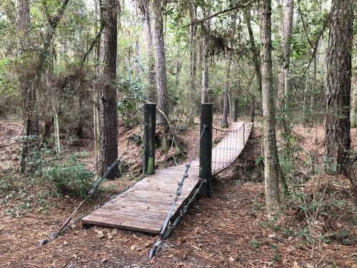 A wooden suspension bridge surrounded by tall trees and dense foliage in a forested area.