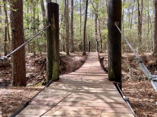 A wooden suspension bridge stretches through a forest, surrounded by tall trees and dappled sunlight.