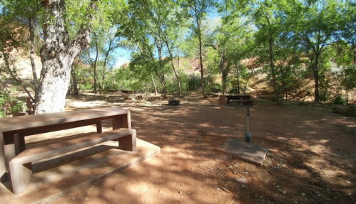 A shaded outdoor area with a wooden picnic table, benches, and a fire pit surrounded by trees.