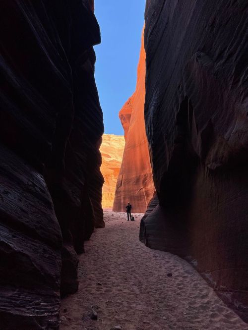 A narrow canyon with towering red rock walls and a person standing on sandy ground, illuminated by sunlight.
