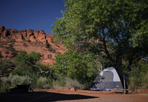 A tent set up near a rocky landscape under a starry sky, surrounded by trees and shrubs.