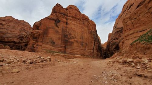 A narrow canyon with towering red rock formations and a cloudy sky above.