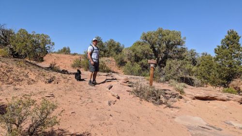 A person stands on a sandy trail with a dog, surrounded by shrubs and trees under a clear blue sky.