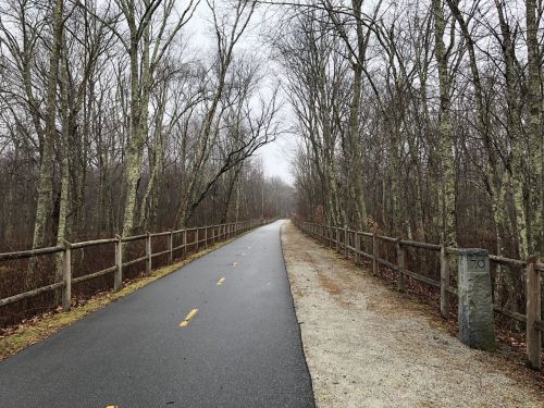 A misty path through bare trees, with a paved trail on one side and a gravel path on the other, lined by a wooden fence.