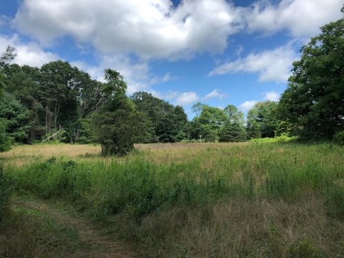 A grassy field surrounded by trees under a partly cloudy sky.