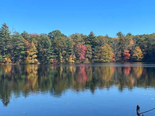 A serene lake reflecting colorful autumn trees under a clear blue sky.