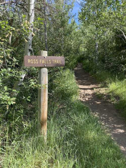 A wooden sign for Ross Falls Trail beside a grassy path surrounded by trees and greenery.