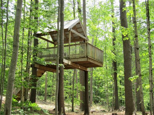 A wooden treehouse elevated among tall green trees, featuring a balcony and a sloped roof.