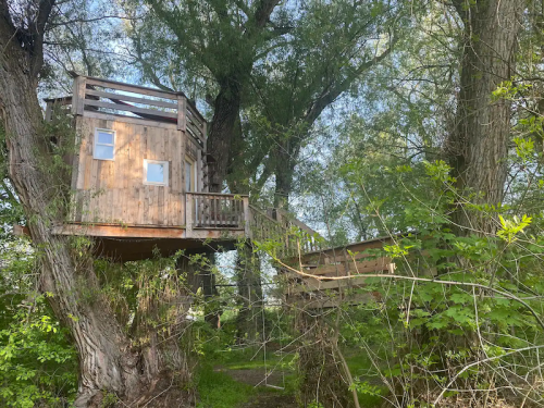 A wooden treehouse nestled among tall trees, surrounded by lush greenery and a clear blue sky.