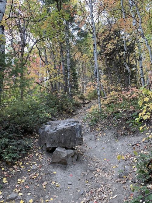 A dirt path winds through a forest with colorful autumn foliage and a large rock in the foreground.