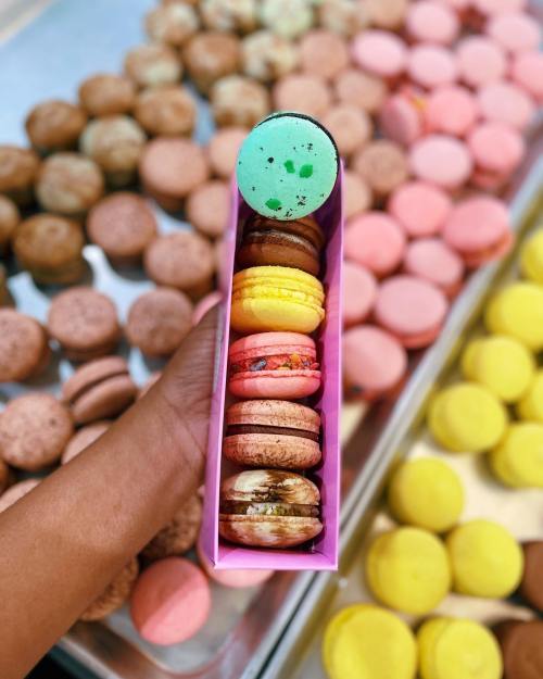 A hand holding a box of colorful macarons, with various flavors displayed on a tray in the background.