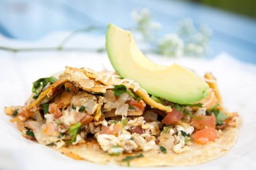 A delicious taco filled with chicken, tomatoes, onions, cheese, and topped with a slice of avocado.