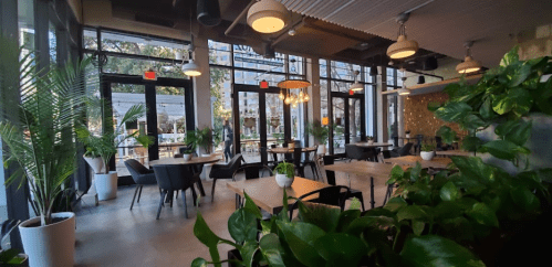 Bright, modern restaurant interior with large windows, wooden tables, and lush green plants. Cozy and inviting atmosphere.