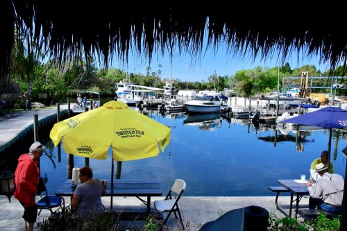 A waterfront scene with boats docked, people sitting at tables under umbrellas, and lush greenery in the background.