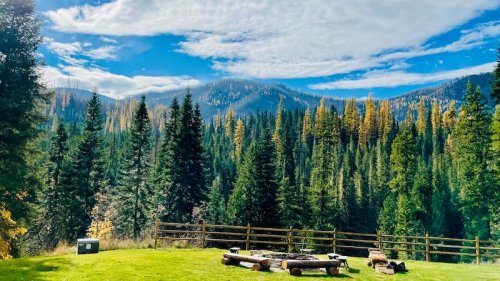 A scenic view of a forested landscape with mountains, blue sky, and a grassy area featuring logs and a fire pit.