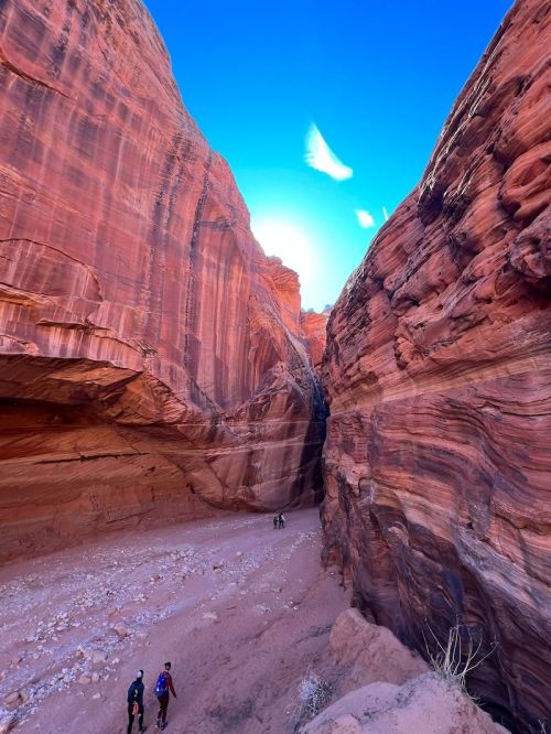 Two hikers explore a narrow canyon with towering red rock walls under a bright blue sky.