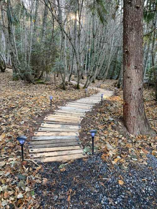 A winding wooden path through a forest, lined with small lights and surrounded by fallen leaves and trees.