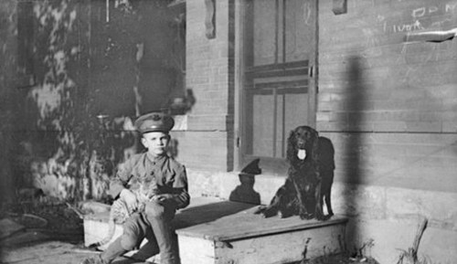 A young boy in a military uniform sits on steps beside a dog, with shadows and trees in the background.