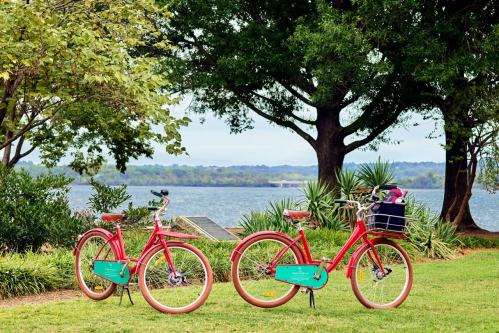 Two red bicycles with green accents parked on grass near a lake, surrounded by trees and greenery.