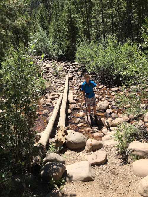 A person stands on a rocky path by a stream, surrounded by trees and greenery, holding a walking stick.