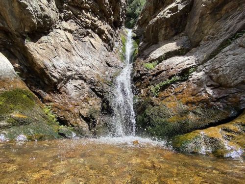 A small waterfall cascades over rocky terrain, surrounded by moss and greenery in a serene natural setting.