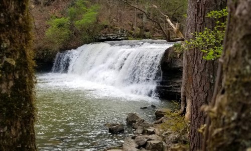 A serene waterfall cascades over rocks, surrounded by lush greenery and trees in a tranquil natural setting.