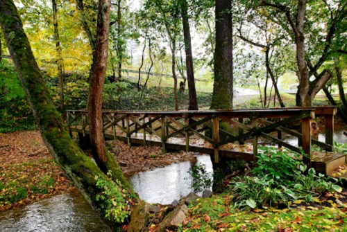 A wooden bridge crosses a stream, surrounded by trees with autumn leaves and a peaceful, natural setting.